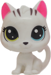 #1-2 Mini Kitten